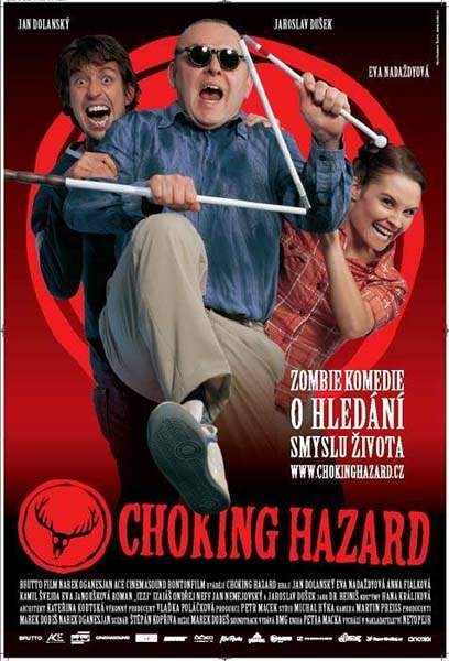 CHOKING HAZARD